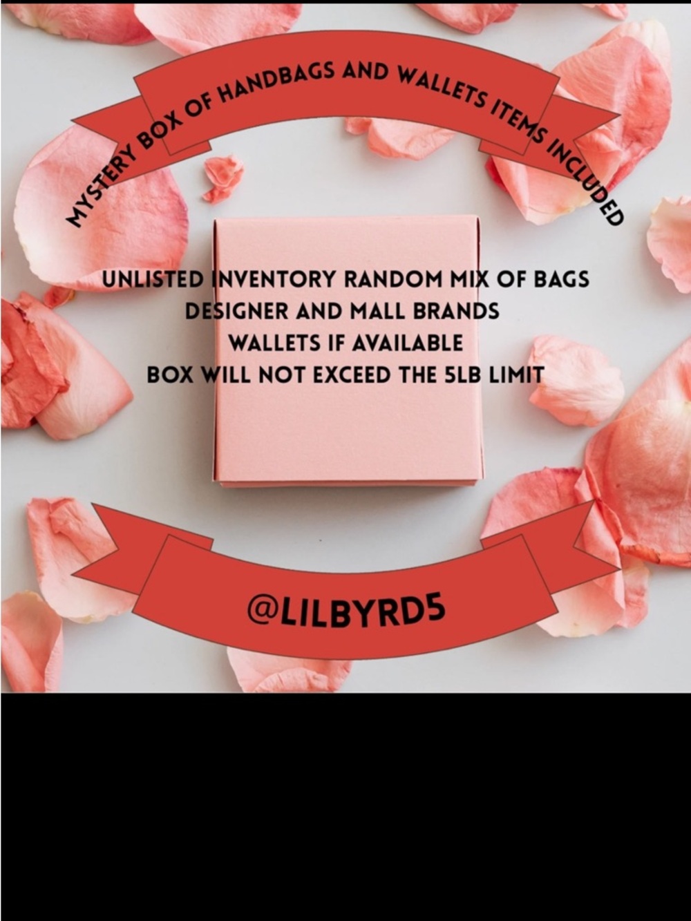Mystery Box of Handbags and Wallets